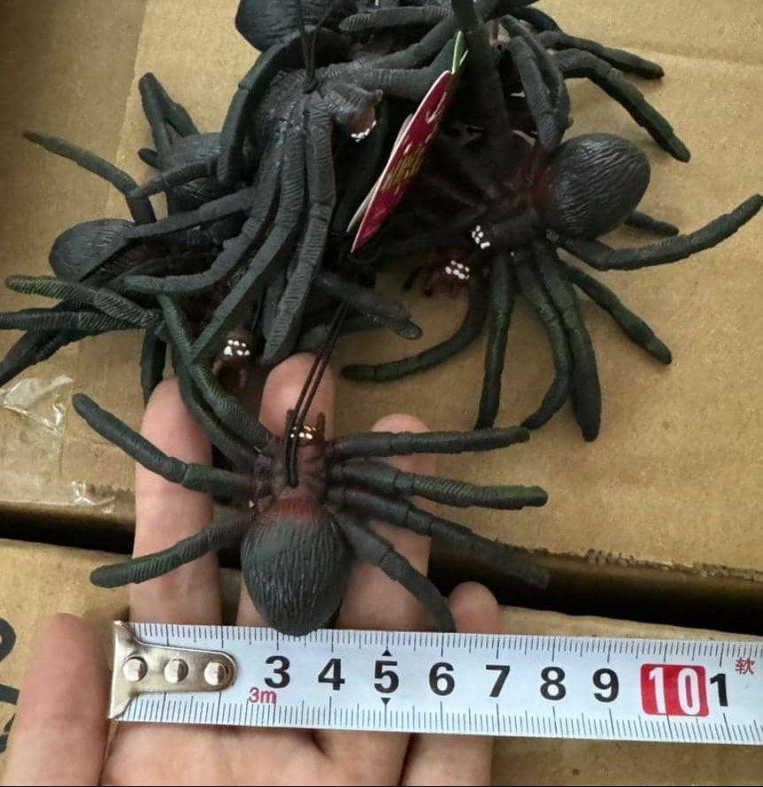 عنکبوت پلاستیکی بزرگ (بسته 10 عددی)