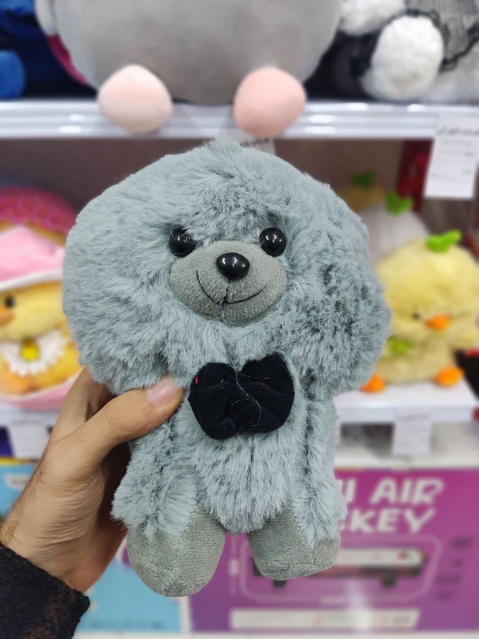 سگ خرسی پشمالو