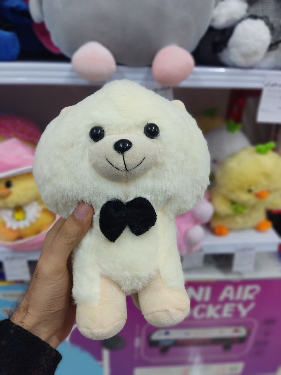 سگ خرسی پشمالو