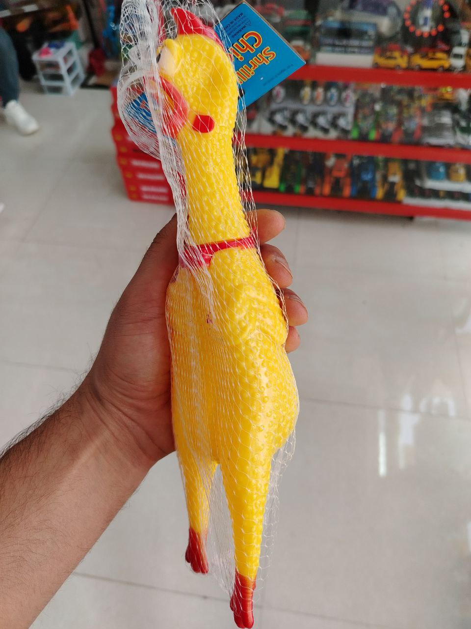 مرغ نالان درجه یک وارداتی