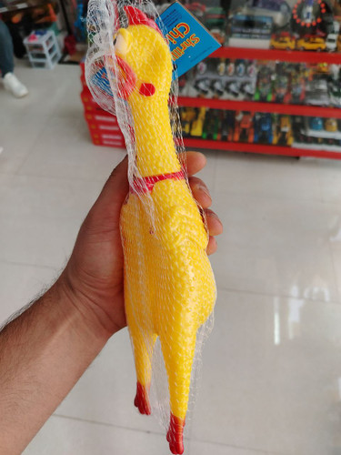 مرغ نالان درجه یک وارداتی