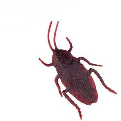 سوسک پلاستیکی مدل STFT104