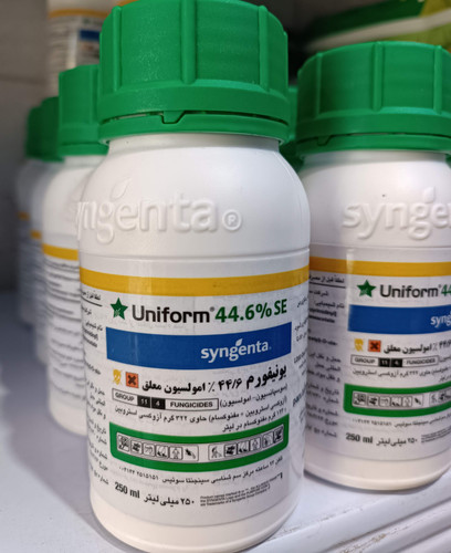 سم قارچ کش یونیفورم سینجنتا ۲۵۰ سی سی